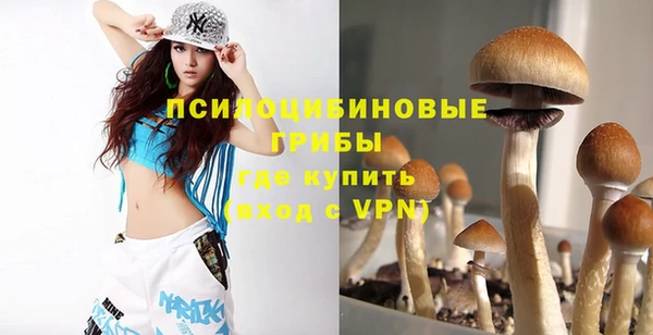 дмт Дмитровск