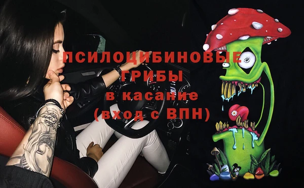 дмт Дмитровск