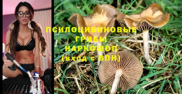 спайс Дмитров