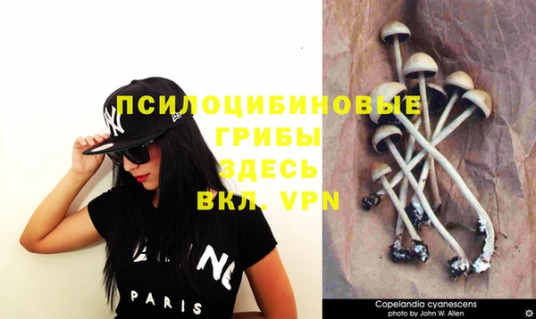 спайс Дмитров