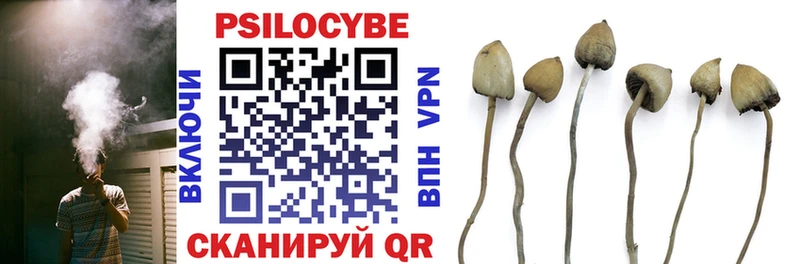 Псилоцибиновые грибы мухоморы где продают наркотики Орлов